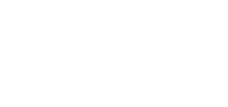 icone-seguranca